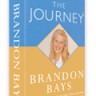 “The Journey” by Brandon Bays